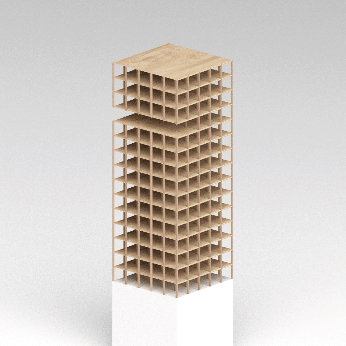 ARCH 202 - Advanced Graduate Studio, Annabel Coleman (Spring 2021)